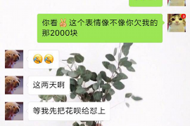 孟连专业讨债公司有哪些核心服务？